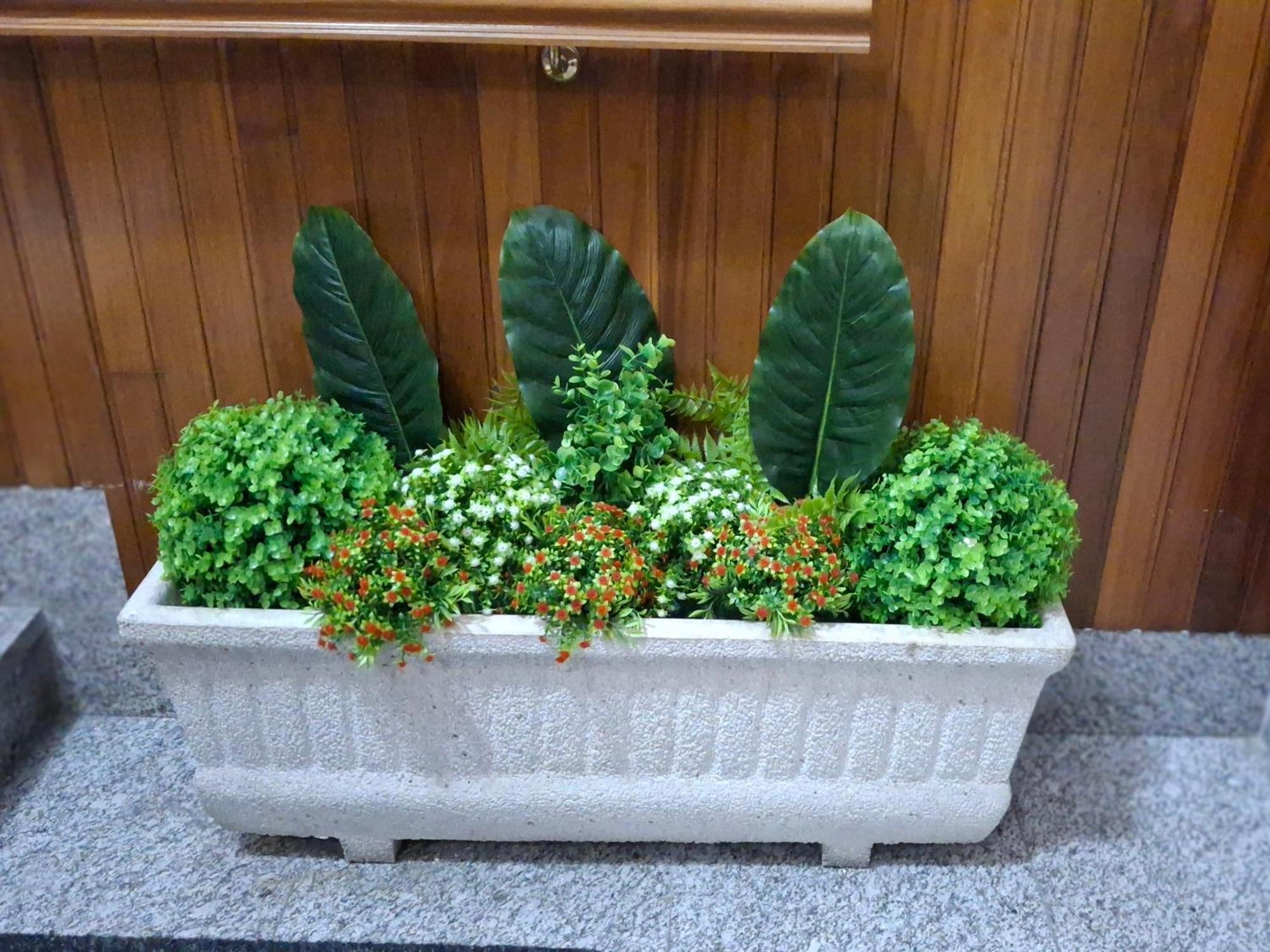 Paradita Del Camino Apartment Sarria